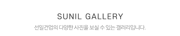 선일건업_제목_제목