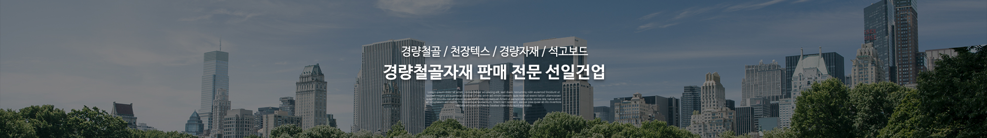 선일건업_공통상단